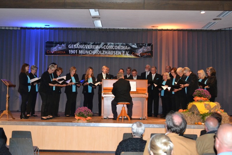 2016 Konzert Münchholzhausen_9