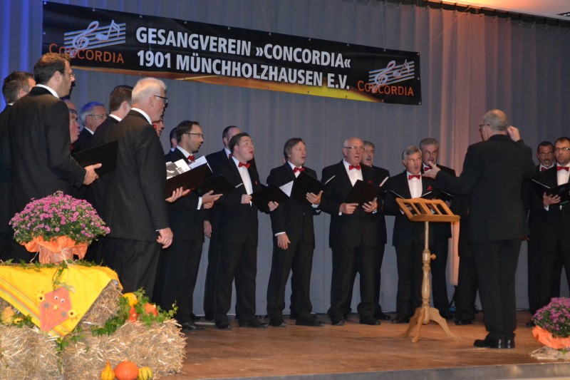 2016 Konzert Münchholzhausen_30